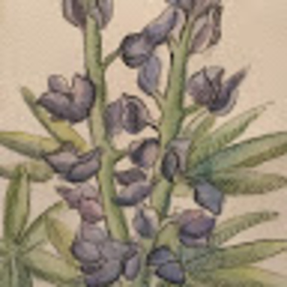 Meet your Posher, Jacqueline - Picture 1 of 1